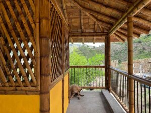 Building a Sustainable Outdoor Bathroom Cabin from Bamboo