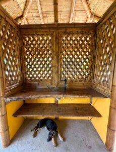 Building a Sustainable Outdoor Bathroom Cabin from Bamboo