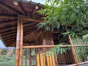 Building a Sustainable Outdoor Bathroom Cabin from Bamboo