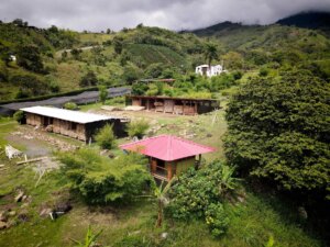 Building a Sustainable Outdoor Bathroom Cabin from Bamboo