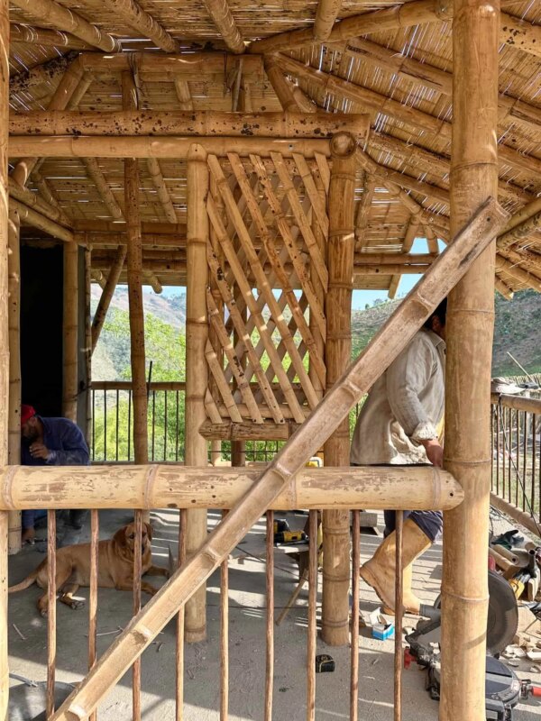 Finishes for Bamboo Cabin with Composting Toilet