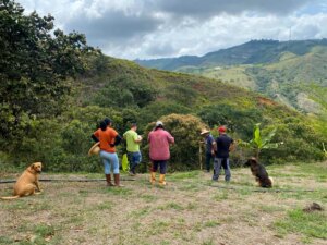 Building a Sustainable Outdoor Bathroom Cabin from Bamboo
