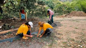 Building a Sustainable Outdoor Bathroom Cabin from Bamboo