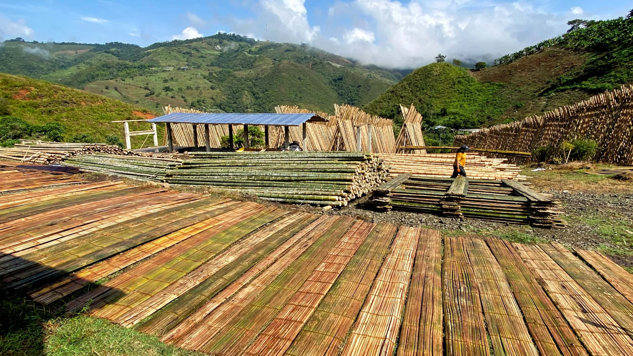 Bamboo Factory Colombia