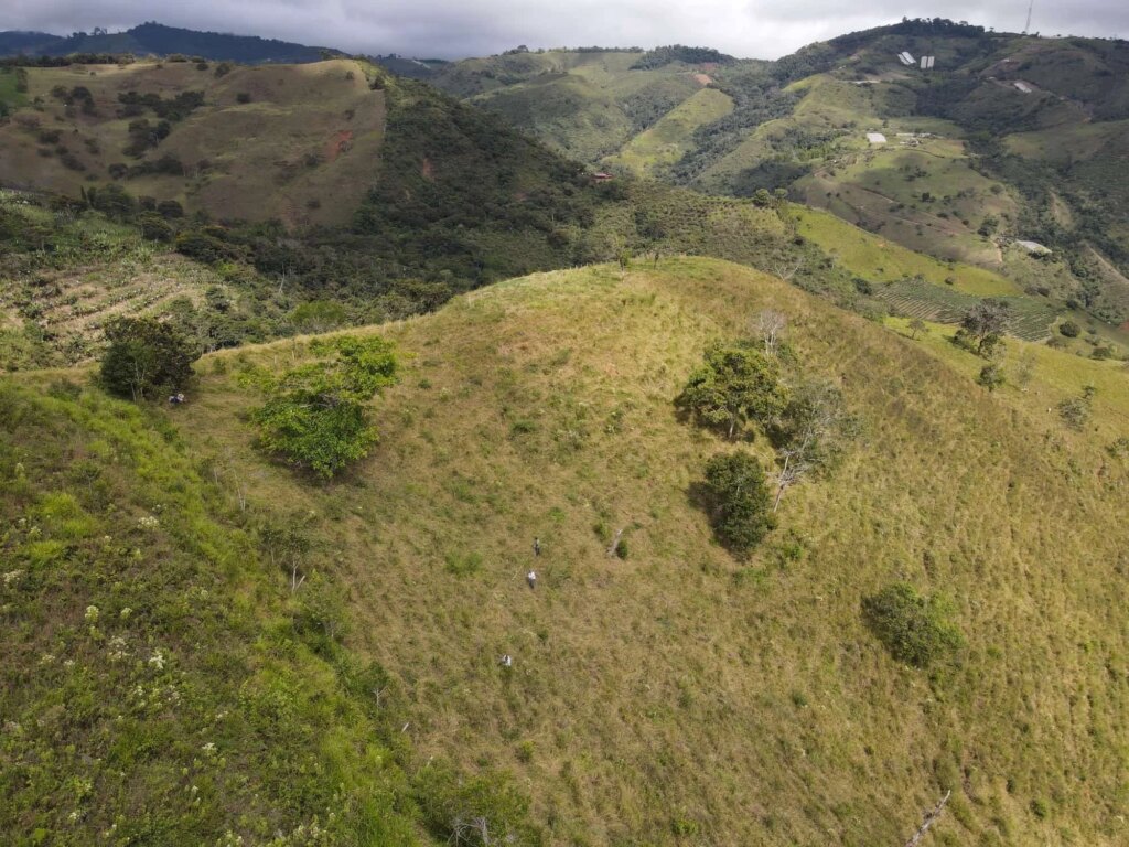 Reforestation in Colombia - Adopt a Bamboo - Sector 2