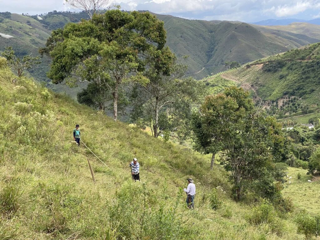 Reforestation in Colombia - Adopt a Bamboo - Sector 2