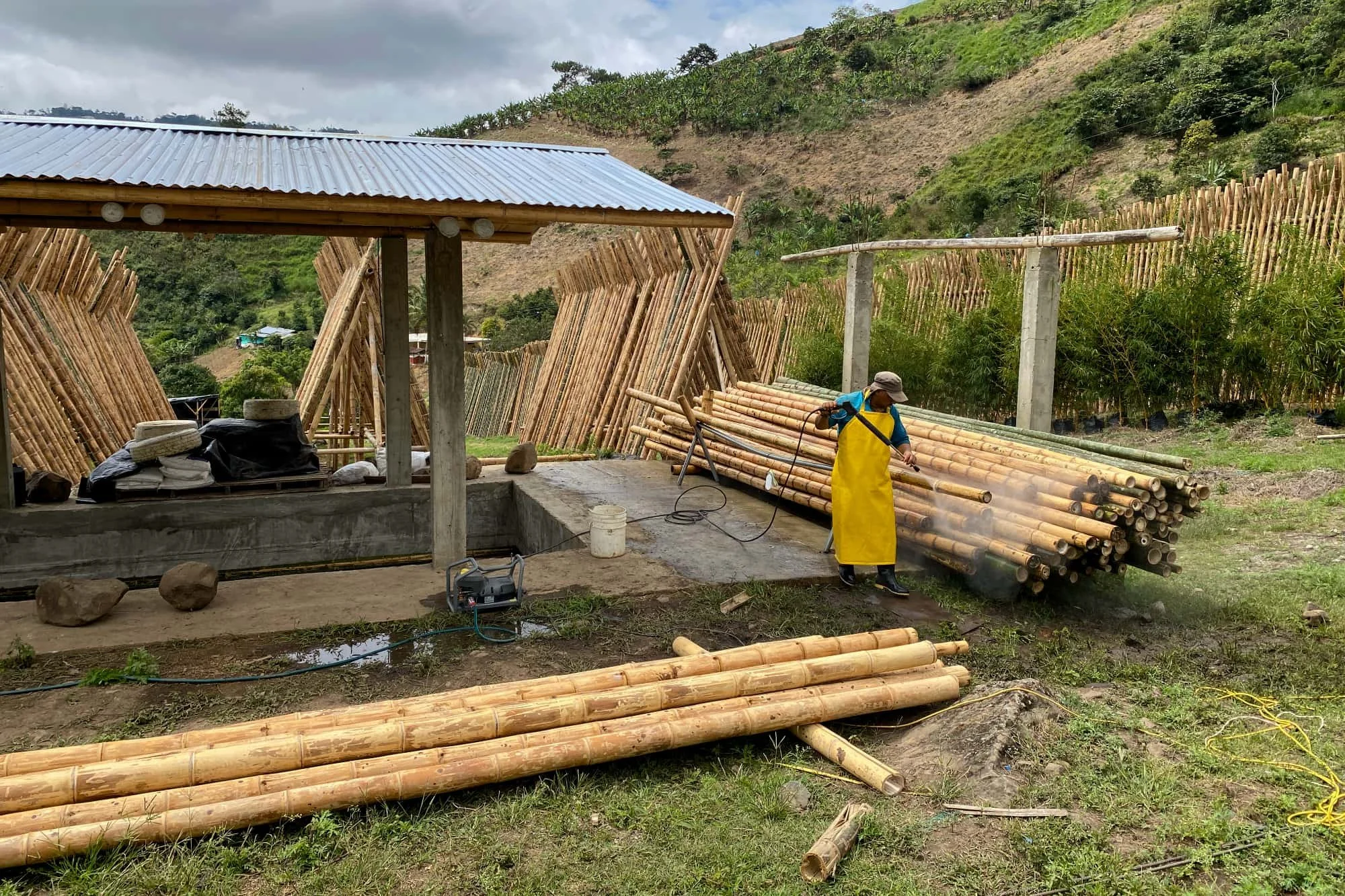 Cleaning Bamboo Poles with Pressure Washer