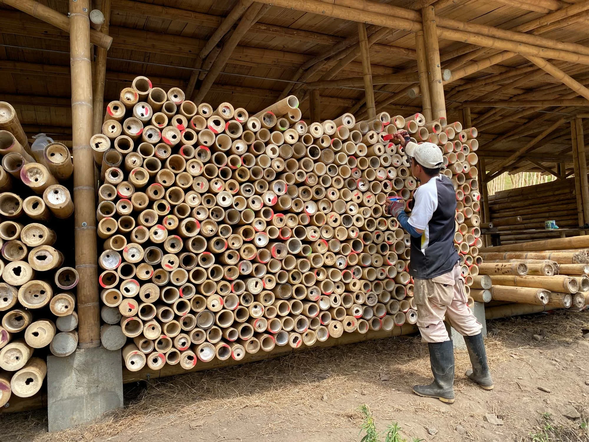 Painting Bamboo Poles