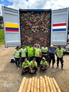Guadua Bamboo Export – Colombia to the Netherlands
