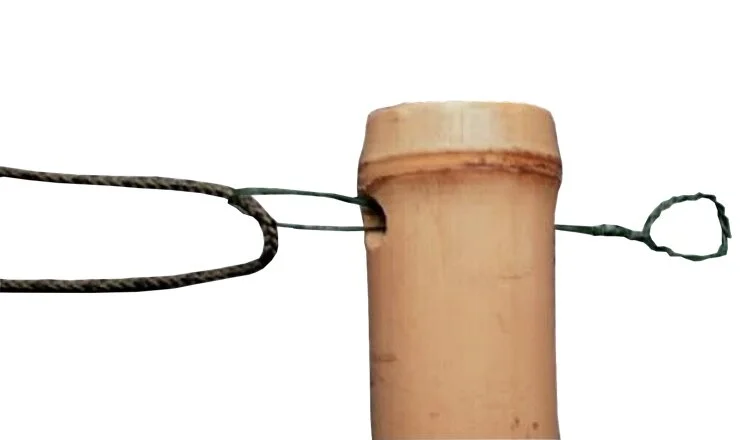 drilled-lashing-bamboo-joint-2 Bamboo Lashing Manual