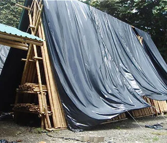 drying_bamboo Drying Bamboo Poles