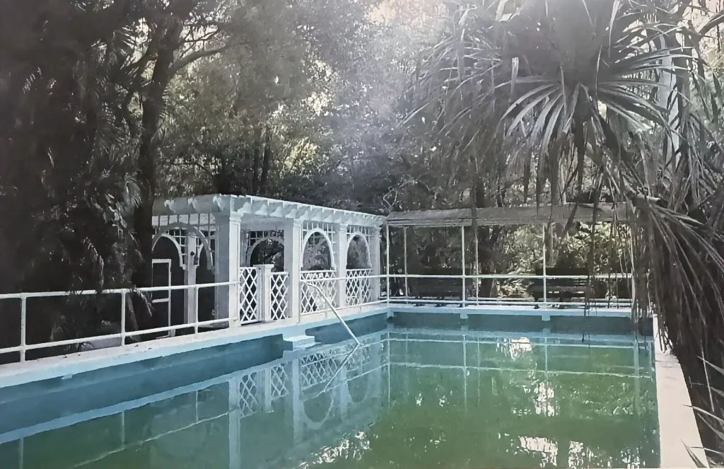 Bamboo History Timeline: From Ancient Traditions to Modern Innovation 15 Edison Swimming Pool - Fort Myers, Florida