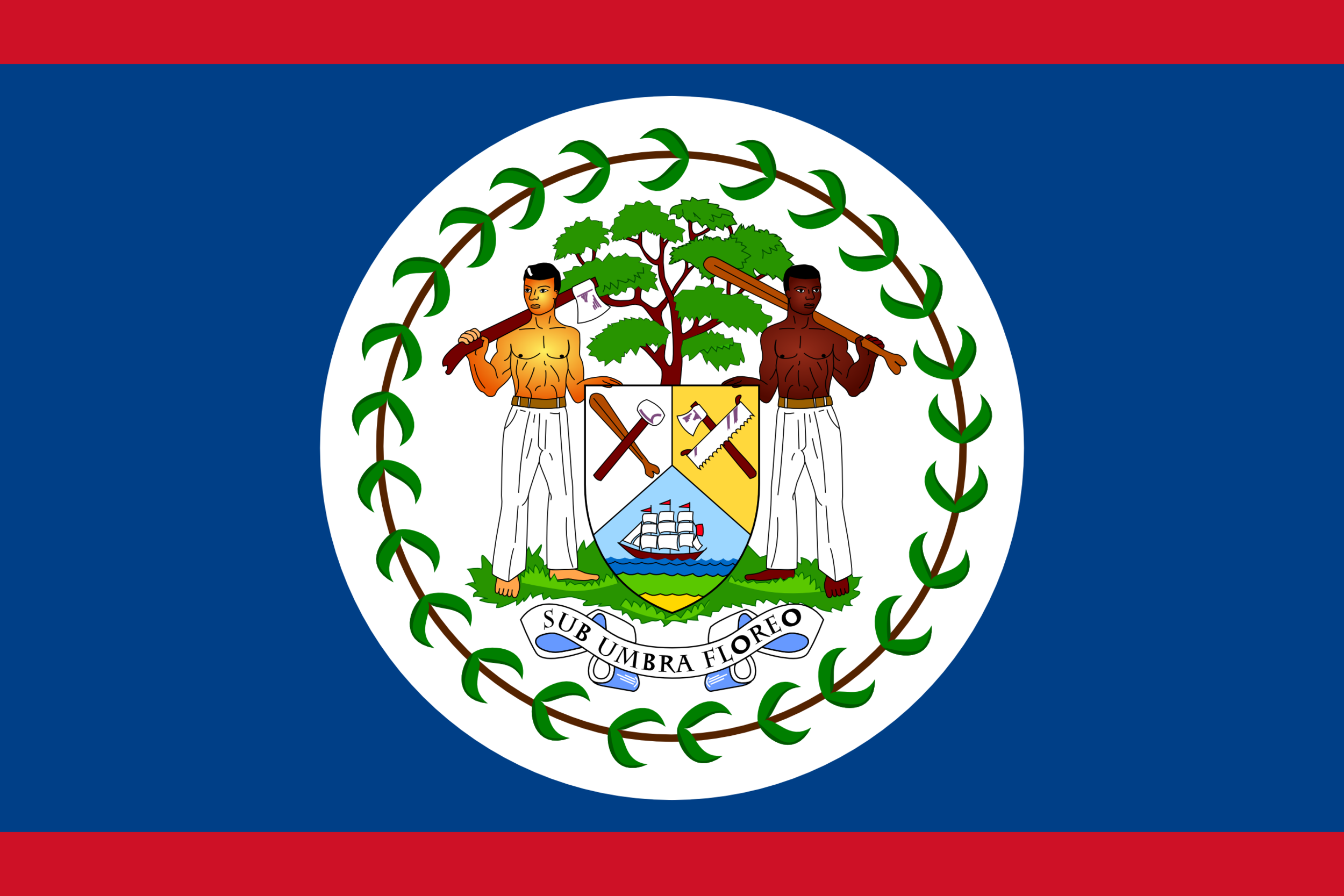 Bamboo Species of Belize