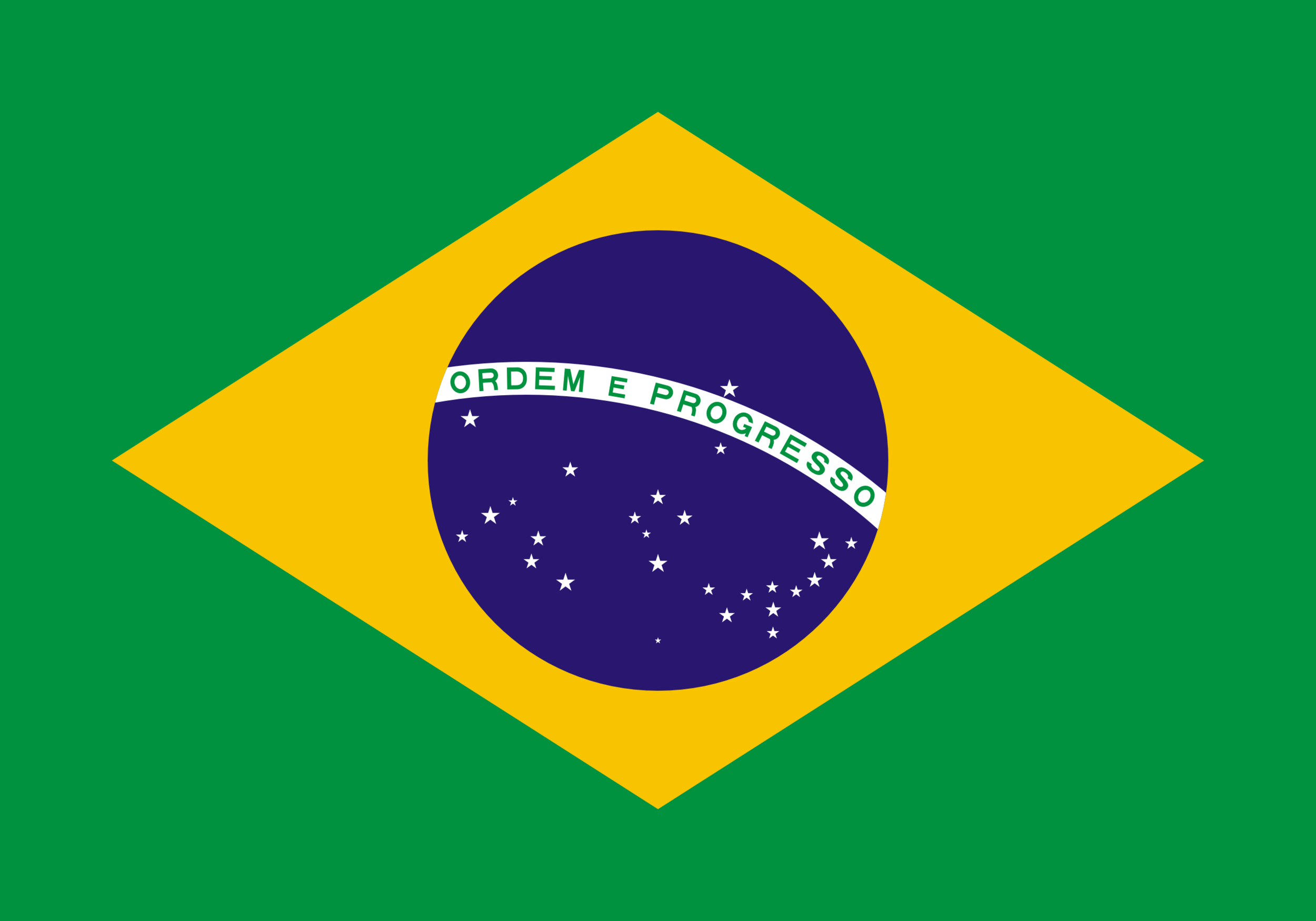 Bamboo Species of Brazil
