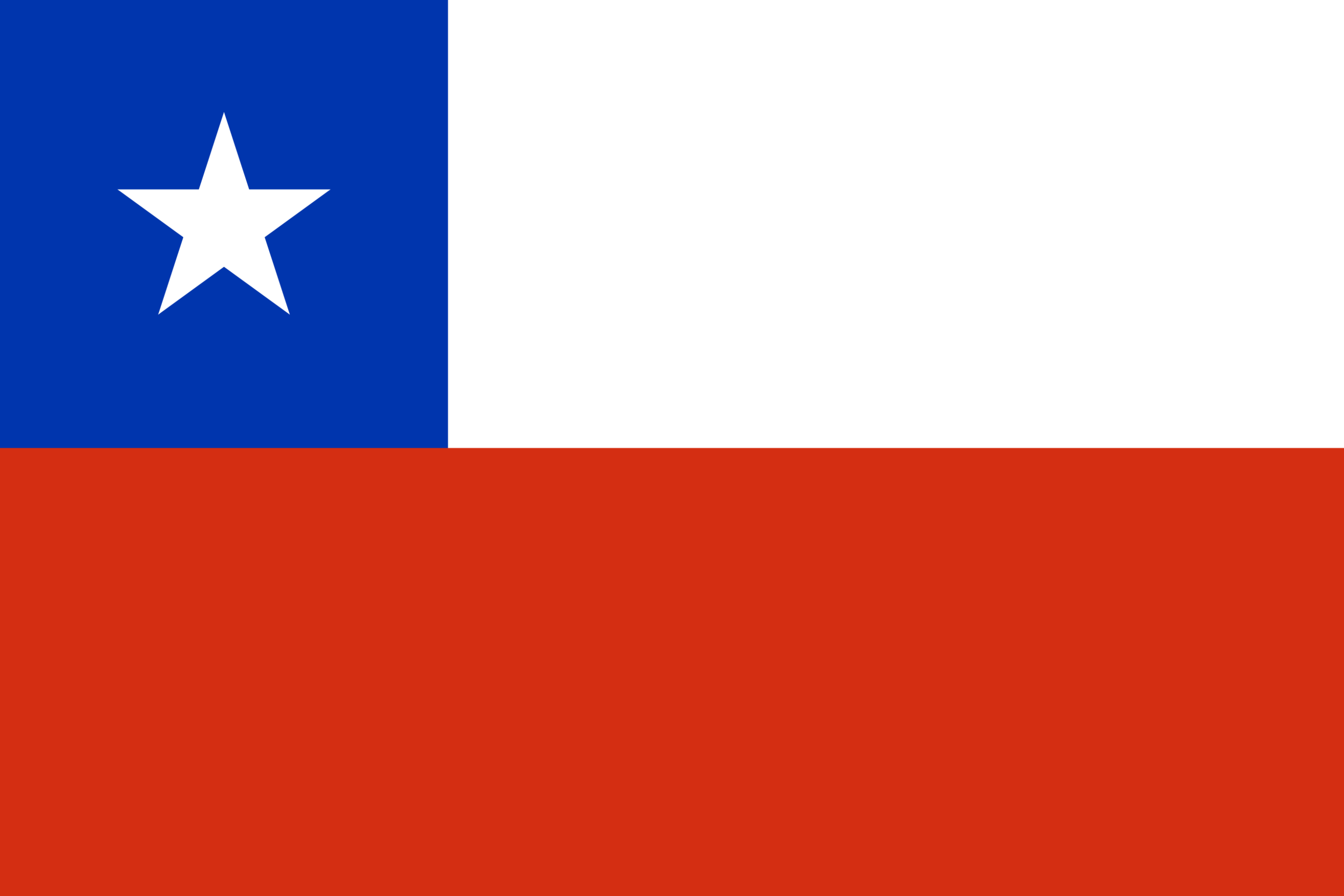 Bamboo Species of Chile