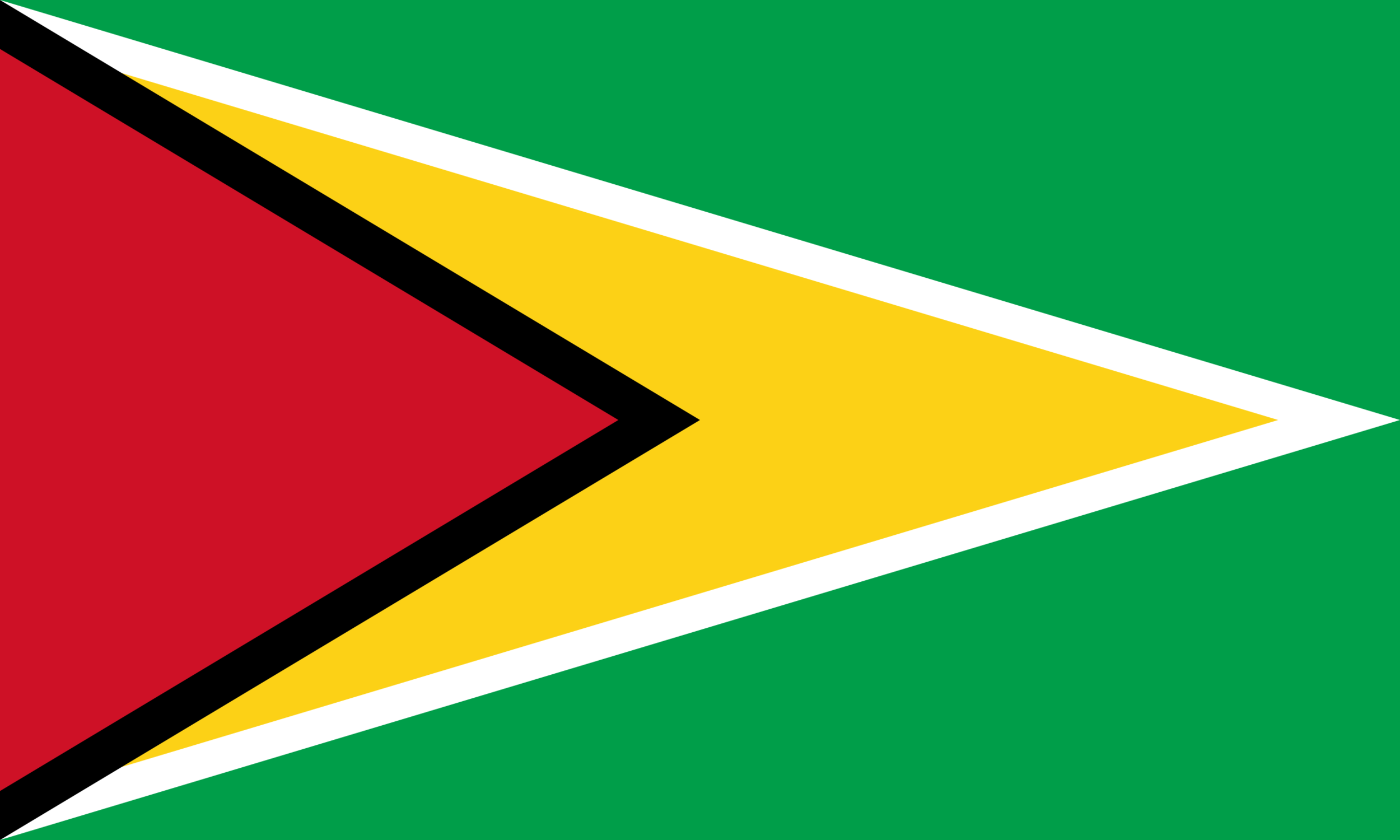 Bamboo Species of Guyana