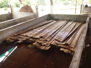Bamboo Mats