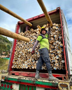 Guadua Bamboo Poles Shipped to Belgium for Europe’s Largest Bamboo Tower
