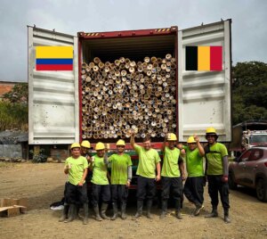 Guadua Bamboo Poles Shipped to Belgium for Europe’s Largest Bamboo Tower