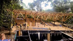 Building to Code - Guadua Bamboo in Public Projects