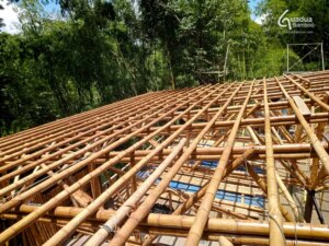Building to Code - Guadua Bamboo in Public Projects