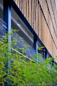 Guadua Bamboo Car Park Amsterdam