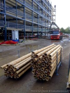 Guadua Bamboo Car Park Amsterdam