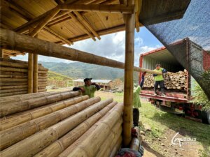 Premium Guadua Bamboo Exported to Chile for Design & Production Firm