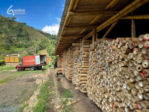 Premium Guadua Bamboo Exported to Chile for Design & Production Firm