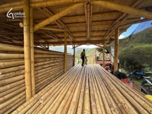 Premium Guadua Bamboo Exported to Chile for Design & Production Firm