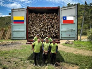 Premium Guadua Bamboo Exported to Chile for Design & Production Firm