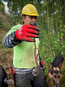 Handle With Care: The Thorny Truth About Guadua Bamboo Branches