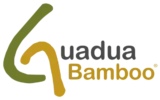 Guadua Bamboo