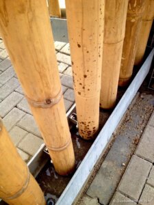 Guadua Bamboo Parking Garage The Hague