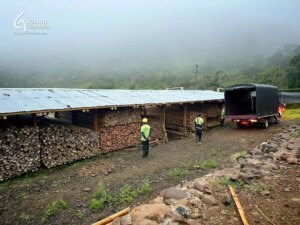 Exporting Guadua Bamboo to Mozambique for School Construction