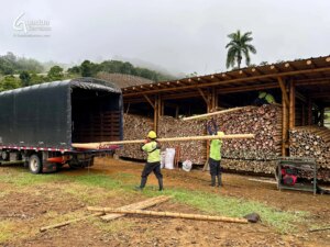 Exporting Guadua Bamboo to Mozambique for School Construction