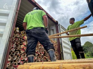 Exporting Guadua Bamboo to Mozambique for School Construction