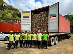 Exporting Guadua Bamboo to Mozambique for School Construction