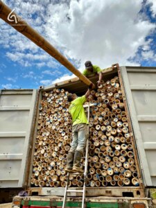 From Colombia to Türkiye: Exporting the World’s Strongest Bamboo