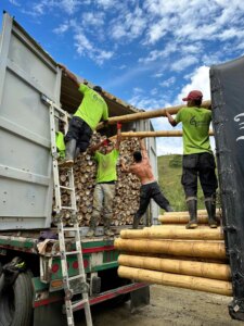 From Colombia to Türkiye: Exporting the World’s Strongest Bamboo