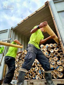From Colombia to Türkiye: Exporting the World’s Strongest Bamboo