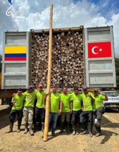 From Colombia to Türkiye: Exporting the World’s Strongest Bamboo