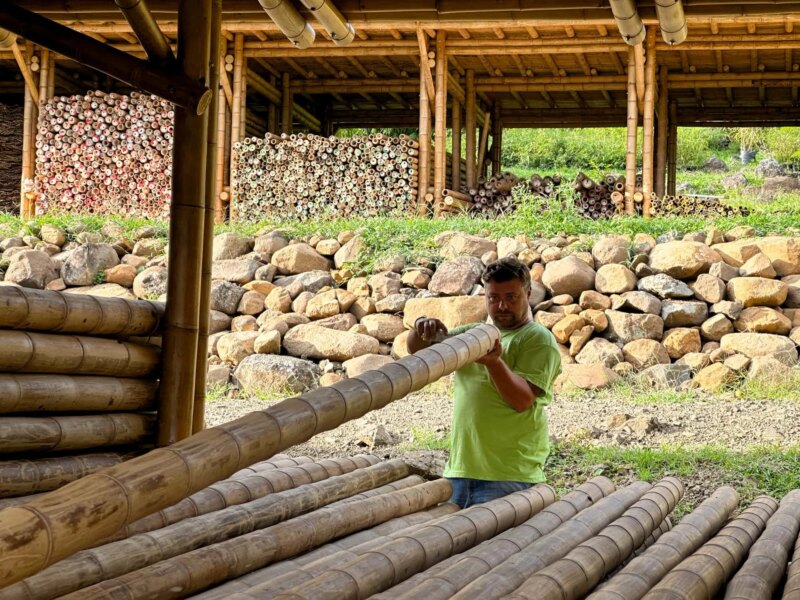 Grading and Selection of Guadua Bamboo Poles in Colombia