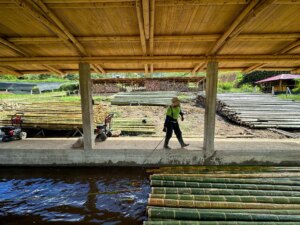 Guadua Bamboo Tower for Zoo in Belgium: Europe’s Largest Structural Bamboo Building