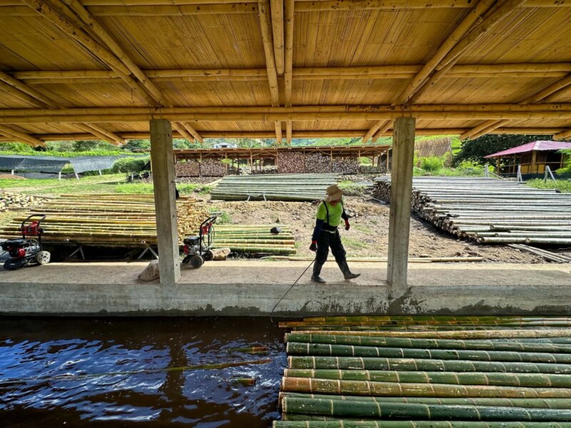 Preservation Treatment of Guadua Bamboo Poles