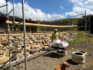 Guadua Bamboo Tower for Zoo in Belgium: Europe’s Largest Structural Bamboo Building