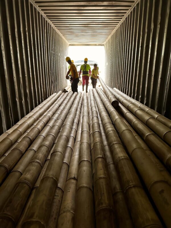 Loading Graded Guadua Bamboo Poles into Container for Tower in Belgium