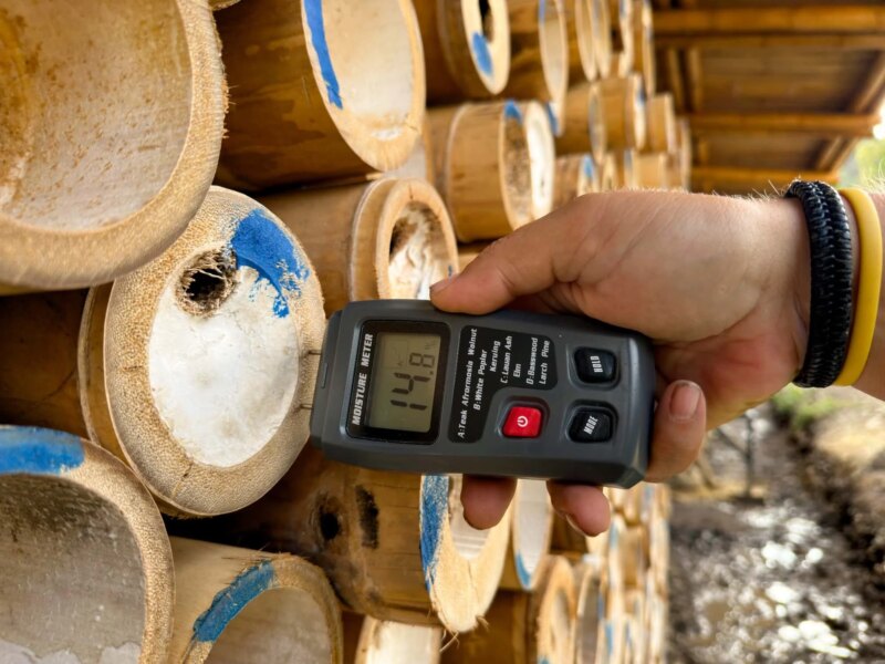 Grading and Selection of Guadua Bamboo Poles in Colombia