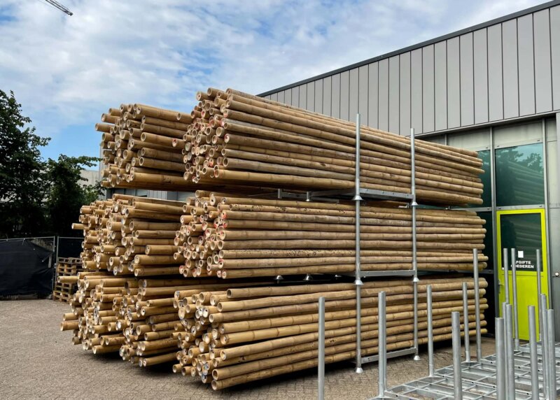 Guadua Bamboo Poles at Masters of Bamboo in the Netherlands for Mysteryland Stage