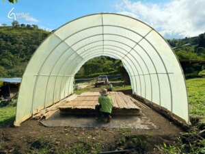 From Raw Bamboo Pole to Precision Slat